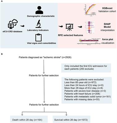 Twenty-eight-day in-hospital mortality prediction for elderly patients with ischemic stroke in the intensive care unit: Interpretable machine learning models